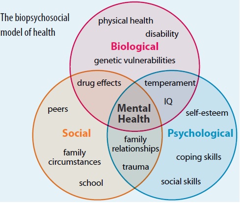 The biopsychosocial model of health diagram